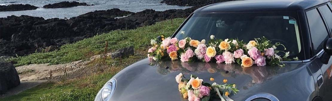 Slide 6 Hias Mobil Pengantin